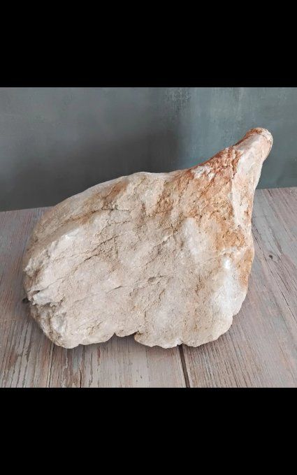 Geode cristal de roche 