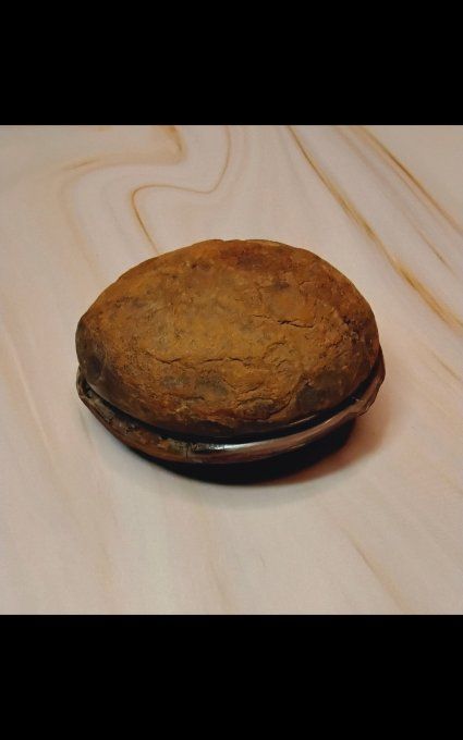 Nodule de Septaria 